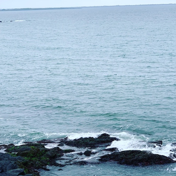 Meet your Posher, Alex - Picture 1 of 1